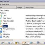 SAP BODS JOB 13
