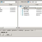 SAP BODS JOB 15