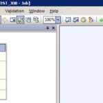 SAP BODS JOB 20